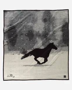 Pendleton A HORSE CALLED PAINT BLANKET ONE SIZE Hot