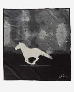 Pendleton A HORSE CALLED PAINT BLANKET ONE SIZE Hot