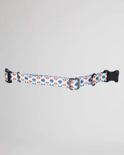 Pendleton ADVENTURE COLLAR FALCON COVE New