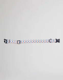 Pendleton ADVENTURE COLLAR FALCON COVE New