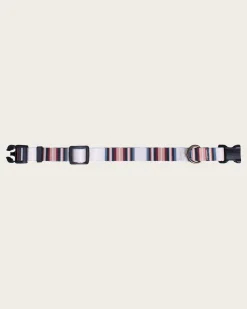 Pendleton SERAPE ADVENTURE COLLAR ROSEWOOD Clearance