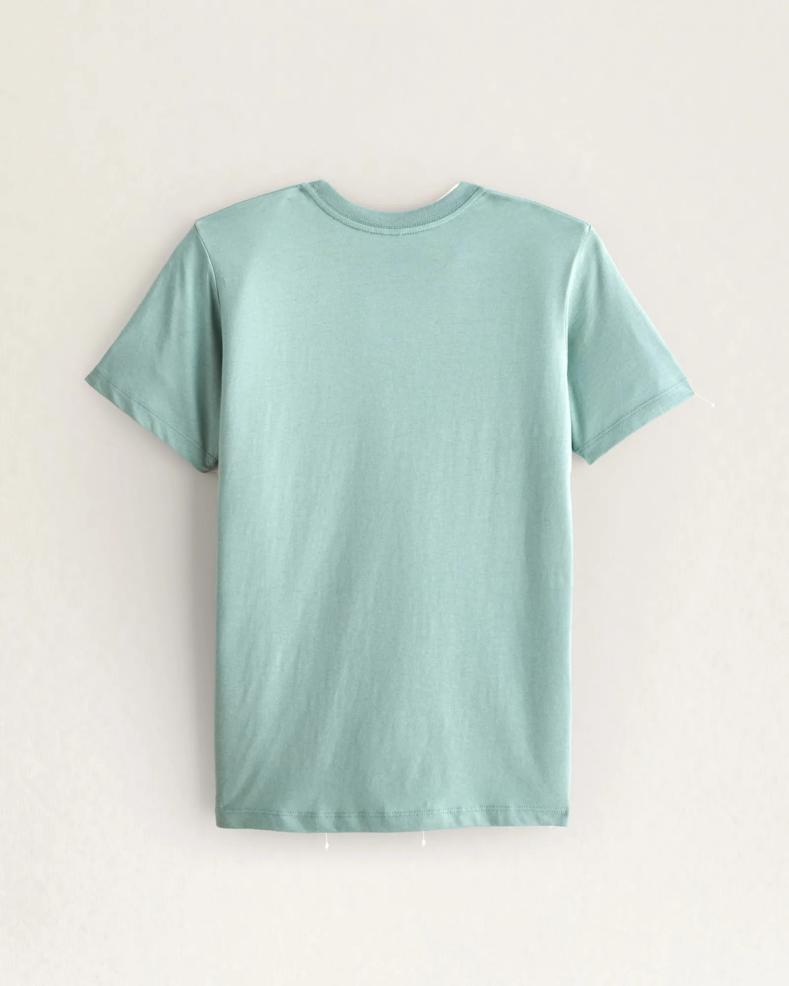 Pendleton WOMEN'S GRAPHIC TEE SEAFOAM CHIEF JOSEPH Best