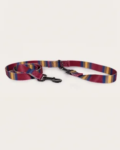 Pendleton NATIONAL PARK ADVENTURE LEASH ZION Sale