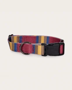 Pendleton NATIONAL PARK ADVENTURE COLLAR ZION Clearance